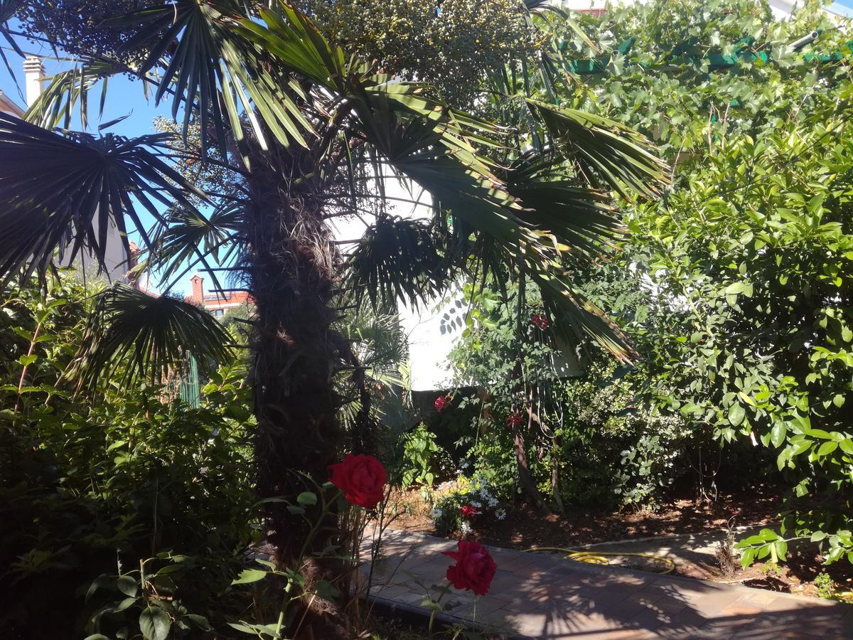 Apartament Tamara
